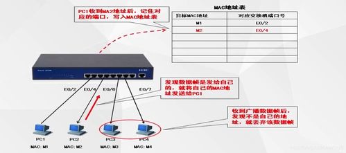 交換機與路由器 網絡世界的交通樞紐與導航系統