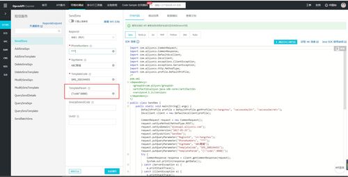 解析阿里云短信服務 isv.invalid json param 錯誤及信息系統(tǒng)集成應對策略